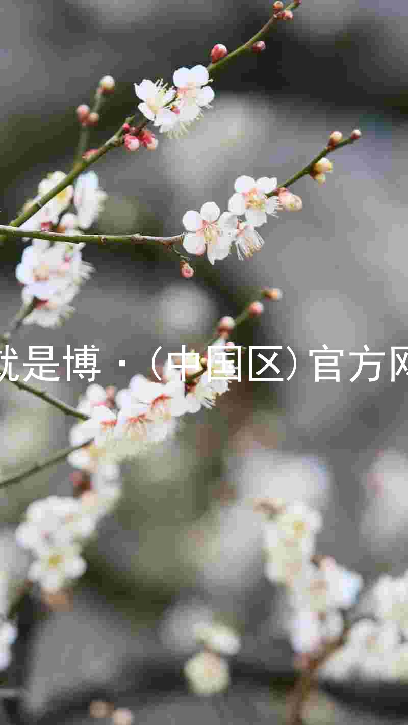 人生就是博·(中国区)官方网站z6