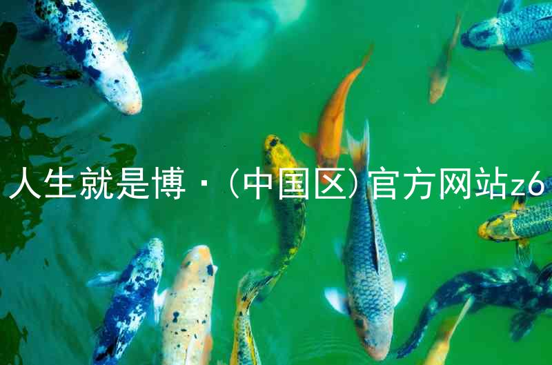 人生就是博·(中国区)官方网站z6